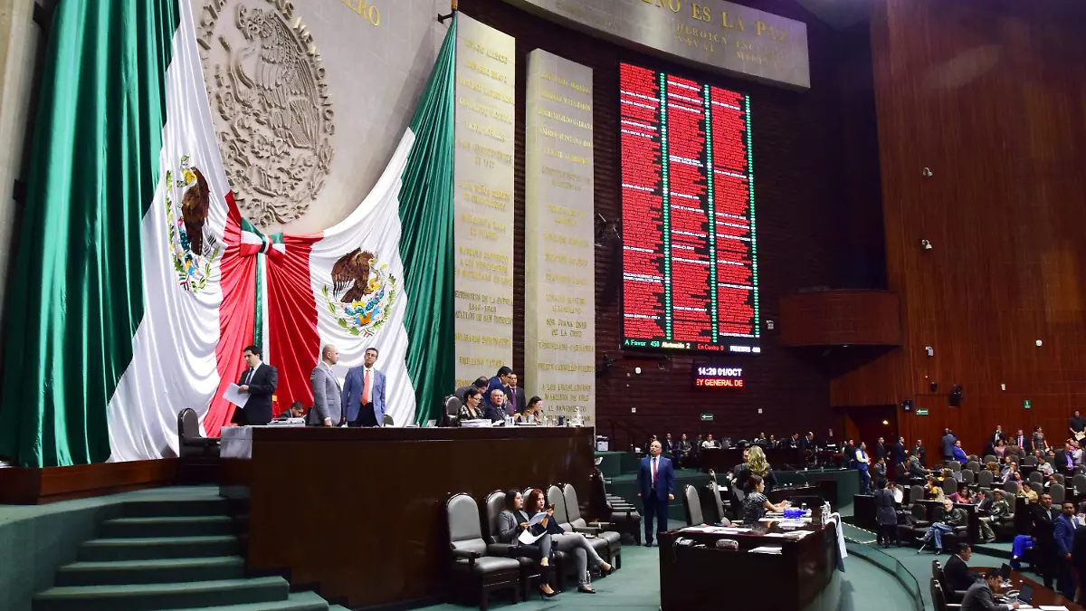 SESION DIPUTADOS -100